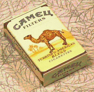 Фотография CAMELL