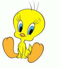 Фотография Tweety Pie